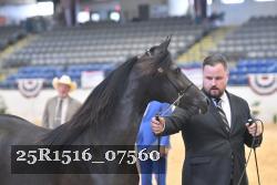 25R1516_07560 thumbnail
