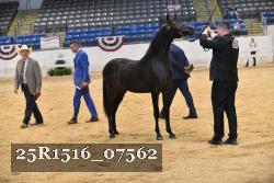 25R1516_07562 thumbnail