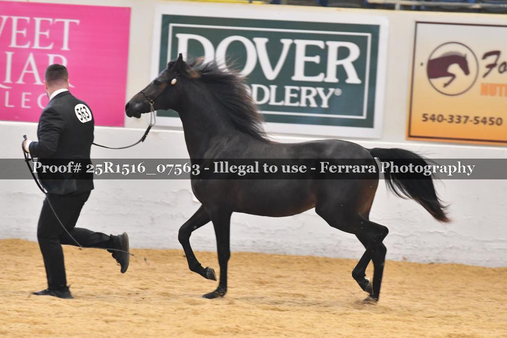 Proof Number 25R1516_07563