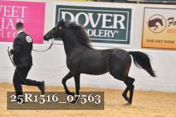 25R1516_07563 thumbnail
