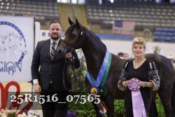 25R1516_07565 thumbnail