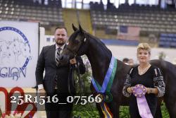 25R1516_07566 thumbnail