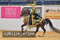25R1516_07569 thumbnail