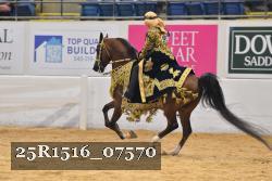 25R1516_07570 thumbnail