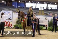 25R1516_07583 thumbnail