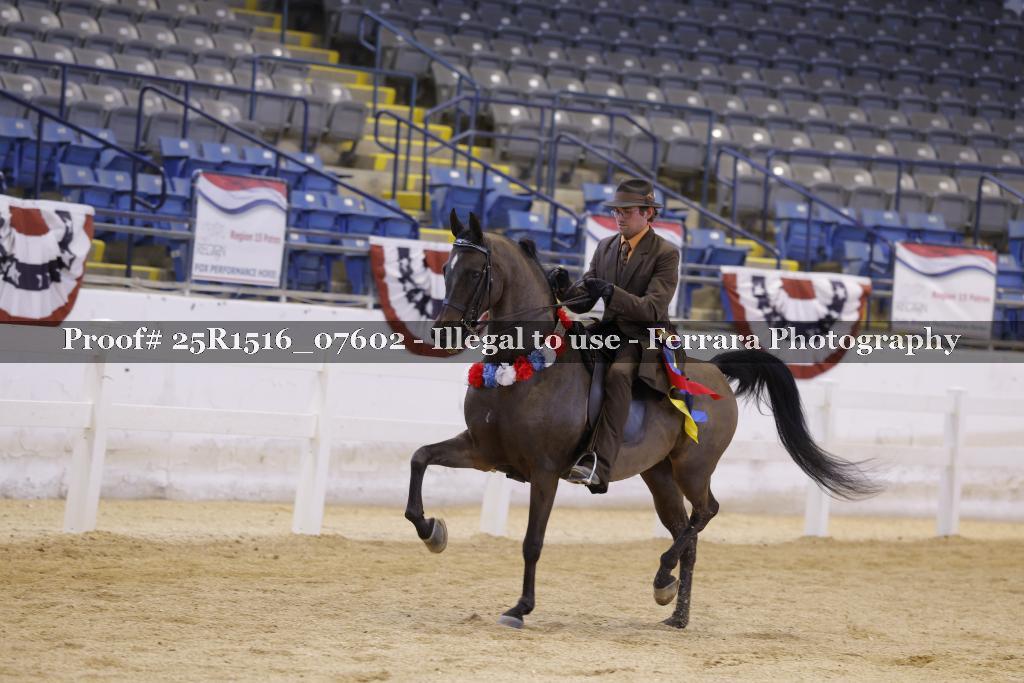 Proof Number 25R1516_07602