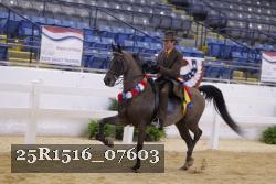 25R1516_07603 thumbnail