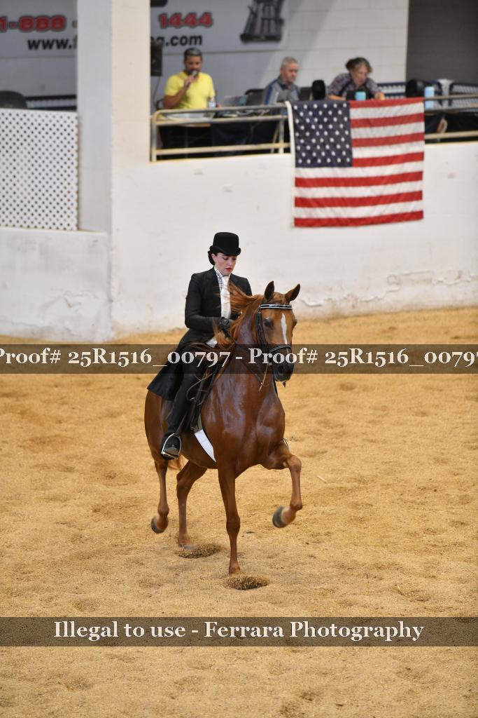 Proof Number 25R1516_00797