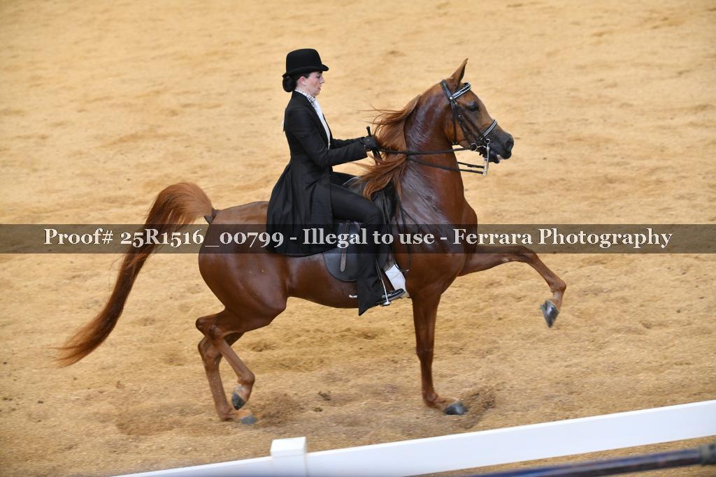 Proof Number 25R1516_00799
