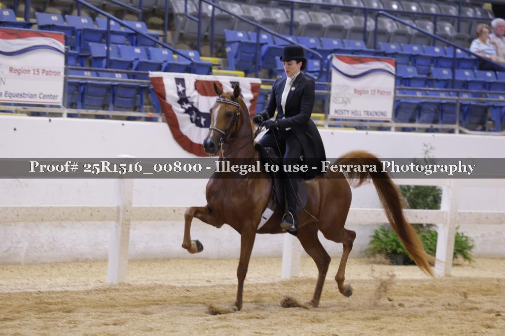 Proof Number 25R1516_00800