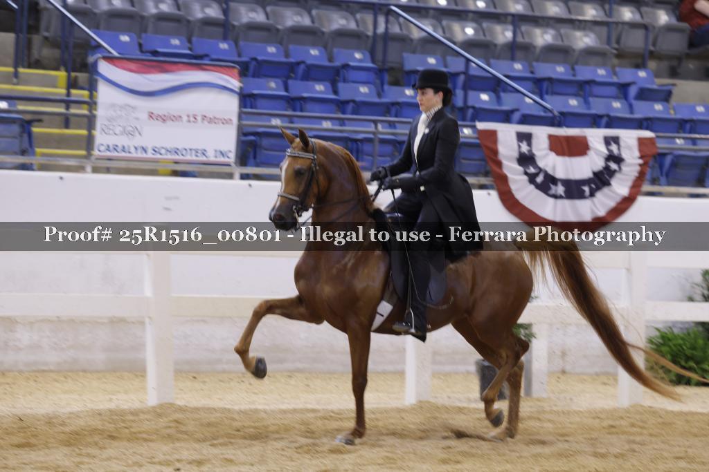 Proof Number 25R1516_00801