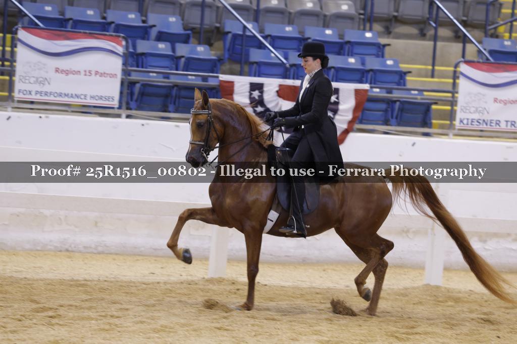 Proof Number 25R1516_00802