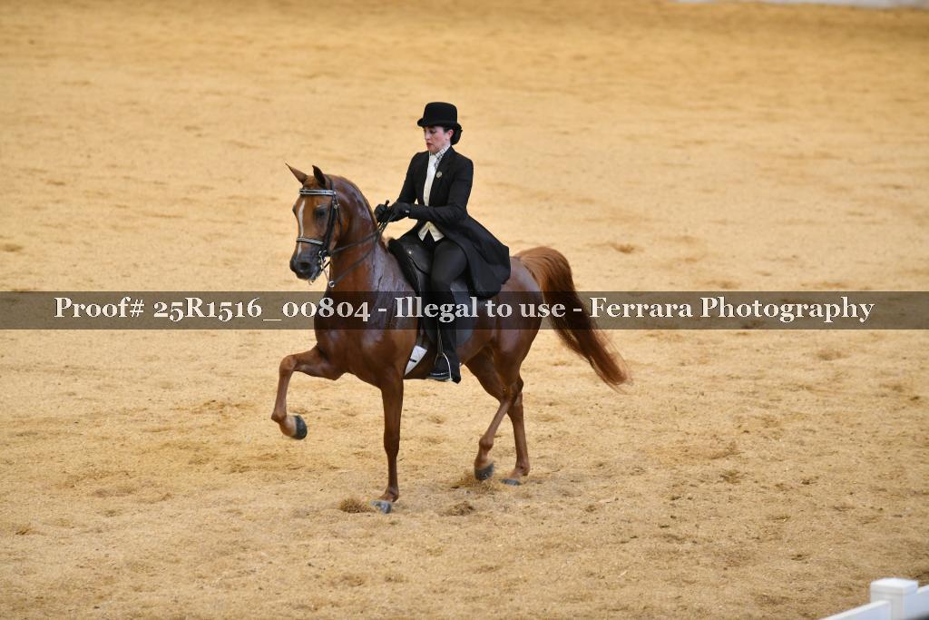 Proof Number 25R1516_00804