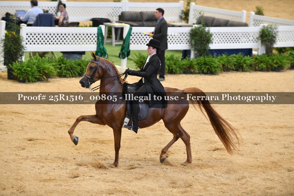 Proof Number 25R1516_00805