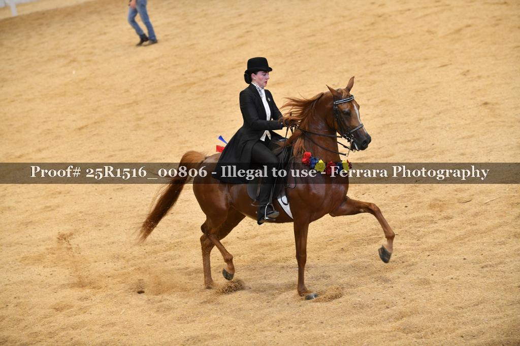 Proof Number 25R1516_00806