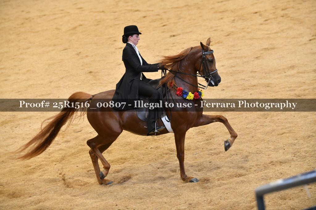 Proof Number 25R1516_00807