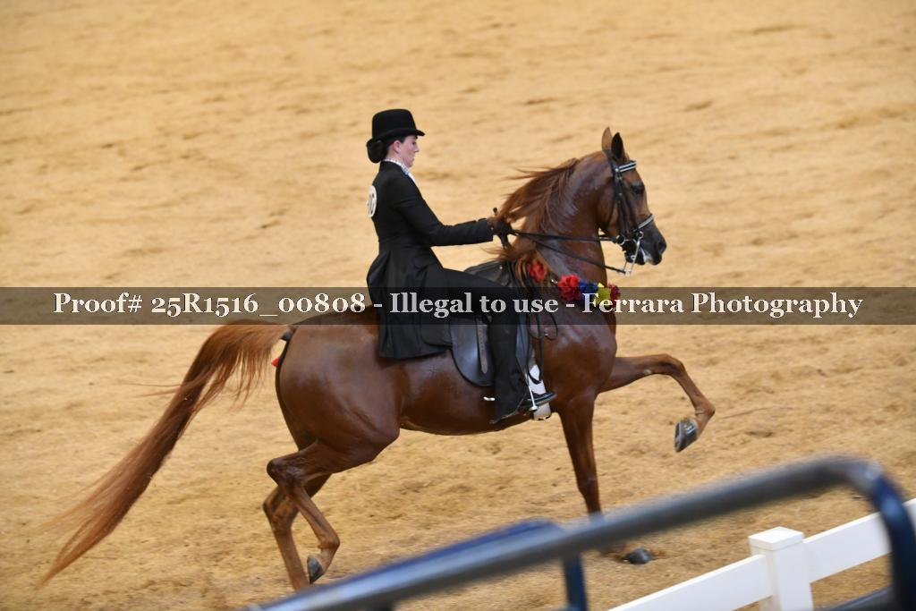 Proof Number 25R1516_00808