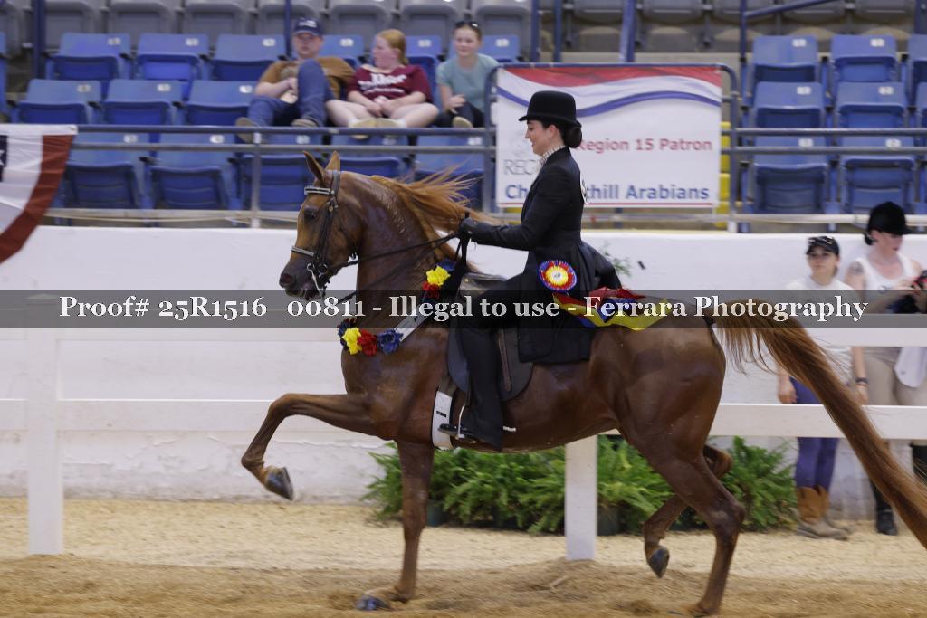 Proof Number 25R1516_00811