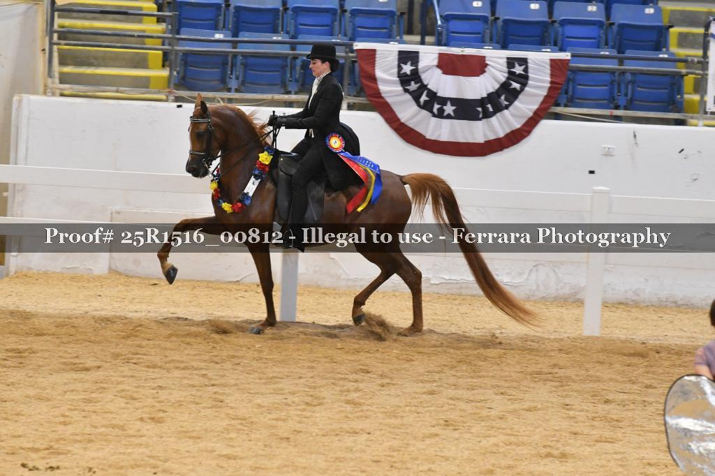 Proof Number 25R1516_00812