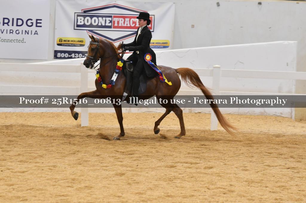 Proof Number 25R1516_00813