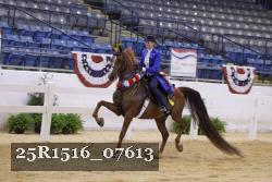 25R1516_07613 thumbnail