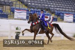 25R1516_07614 thumbnail