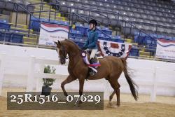 25R1516_07629 thumbnail