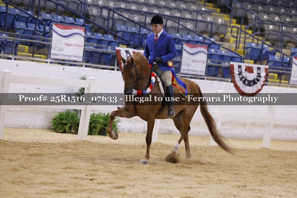 Proof Number 25R1516_07633