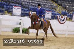 25R1516_07633 thumbnail