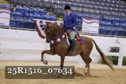 25R1516_07634 thumbnail