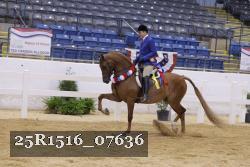 25R1516_07636 thumbnail