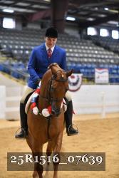 25R1516_07639 thumbnail