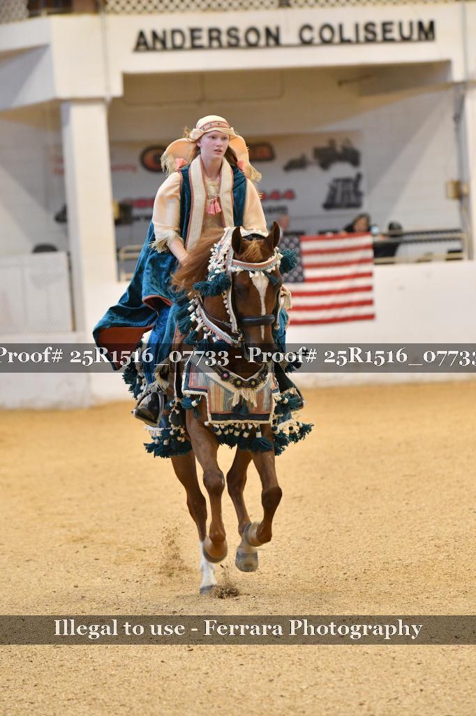 Proof Number 25R1516_07733