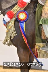 25R1516_07765 thumbnail