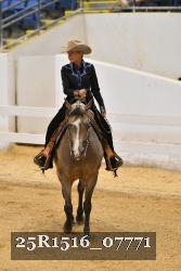 25R1516_07771 thumbnail