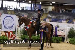 25R1516_07775 thumbnail