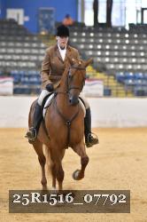 25R1516_07792 thumbnail