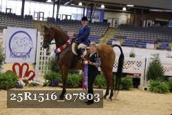 25R1516_07803 thumbnail