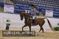25R1516_07805 thumbnail