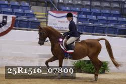 25R1516_07809 thumbnail
