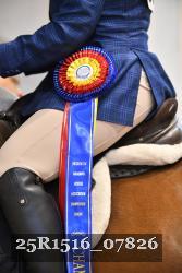 25R1516_07826 thumbnail