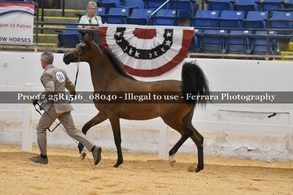 Proof Number 25R1516_08040