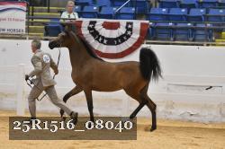 25R1516_08040 thumbnail