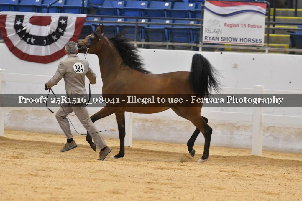 Proof Number 25R1516_08041