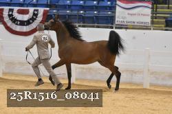25R1516_08041 thumbnail