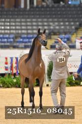 25R1516_08045 thumbnail
