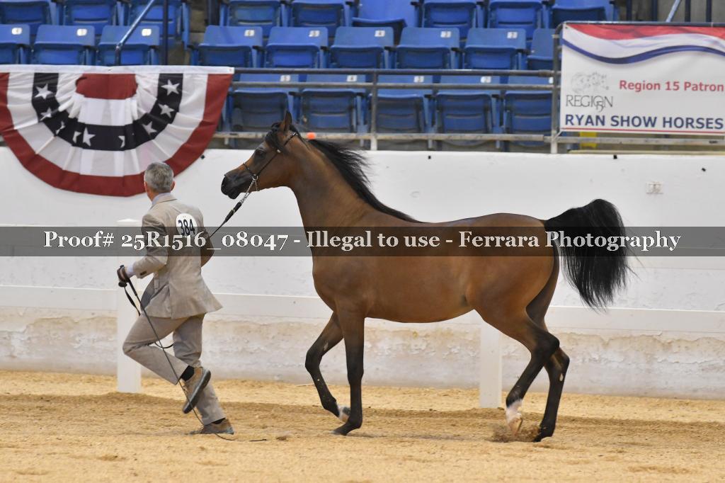 Proof Number 25R1516_08047