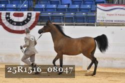 25R1516_08047 thumbnail