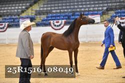 25R1516_08049 thumbnail