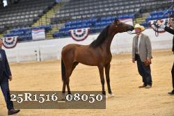 25R1516_08050 thumbnail